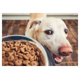 Winter Park Hall/Aloma Estate Sale Ceces Closet