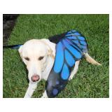 Apopka Estate Sale Ceces Closet