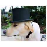 Million $$ Oviedo Estate Sale Ceces Closet