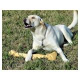 REtro/Deco Altamonte Springs Estate Sale from Ceces Closet