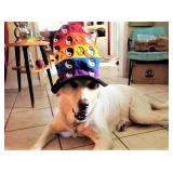 UCF Slot Machine Tools Mens Greats Ceces Closet