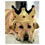 Apopka Elegance Shopping for you Ceces Closet