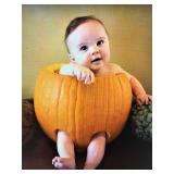 Olde' World Winter Park Charm Estate Ceces Closet