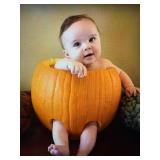 Marvelous Maitland Estate Sale Ceces Closet