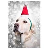 Apopka Elegance Shopping for you Ceces Closet