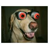 'Stripping to Bare Walls' Loaded Longwood Estate Sale from Cece's Closet LLC