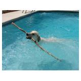 PACKED  LOADED OVERFLOWING    Get the Idea      Estate Sale from Cece's Closet LLC