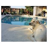 Heavenly Heathrow Estate Sale from Ceces Closet LLC