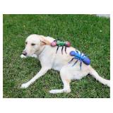 Outrageous Oviedo Estate Sale from Cece's Closet LLC