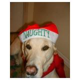 Packed Oviedo Estate & Guns Sale from Cece's Closet LLC