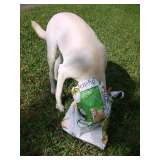 Food Food.. Outta my way