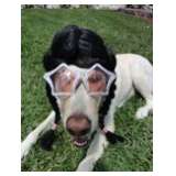 Windermere Huge Inside Estate Sale from Cece's Closet LLC