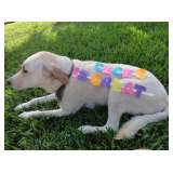 True Winter Park Indoor Estate Sale Rain or Shine.. Free Smiles