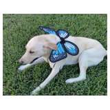 Yes, I can do several things at once.. And you are surprised???