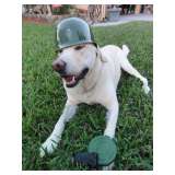 Heads Up.. Fall in line and prepare to enjoy yourself. 