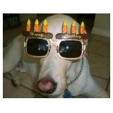 Loaded Lake Como Estate Sale 3 Days of Shopping Fun  from Cece's Closet LLC 