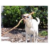 Terrific Timacuan #1 Estate Sale from Ceces Closet LLC