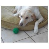 The Hurricane Won!! Closed Friday... OPEN Saturday   Lovely Lake Mary Estate Sale from Cece's Closet