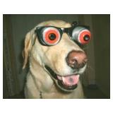 Dean Rd/Curry Ford Area Estate Sale from Cece's Closet