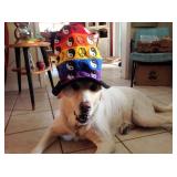 Sunny Sanford Estate Sale from Cece's Closet