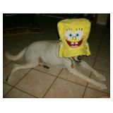 Casselberry Estate Sale from Cece's Closet LLC