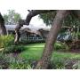 Longboat Key Estate Sale