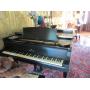 STEINWAY PIANO, SILVER, FULLY FURNISHED HOME IN BENT TREE