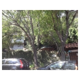 Hollywood Estate Sale