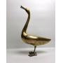 Quinn's Weekly Wednesday Auction