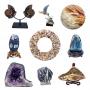 Seashells, Minerals & Rocks Auction