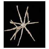 Warehouse Sale in Emeryville