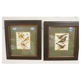 1182	2 FRAMED & MATTED BIRD PRINTS SIGNED RUTLEDGE, 22 IN X 24 IN	50	100	25	PLEASE PAY ATTENTION FOR