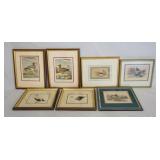 1109	LOT OF SEVEN FRAMED BIRD PRINTS. ALL BUT ONE ARE OF DUCKS. LARGEST ARE 12 1/2 IN X 15 1/2 IN IN