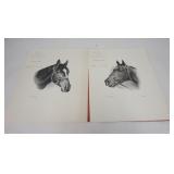 1275	TWO KENTUCKY DERBY WINNER HORSE PRINTS *RPOUD CLARION* BY S.J. WALLEN & *KAUAI KING* 1966 BY C.