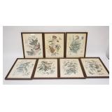 1279	SET OF 7 ARTHUR SINGER BIRD PRINTS IN MATCHING FRAMES. 10 IN X 13 IN INCLUDING FRAMES