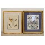 1259	2 BIRD PRINTS, ONE W/BIRD OF PARADISE PUBLISHED BY VIRTUE & YORSTON, NY, 13-14 IN X 16 IN