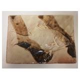 1129	SIGNED TILE DEPICTING A FISH IN RELIEF, 7 IN X 5 1/4 IN