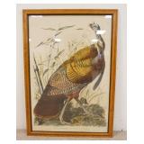 1203	LARGE AUDUBON PRINT, WILD TURKEY, 27 3/4 IN X 39 IN INCLUDING FRAME