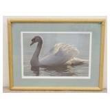 1241	ROBERT BATEMAN LIMITED EDITION SWAN PRINT, 146 OF 150, PENCIL SIGNED, DOUBLE MATTED, 33 IN X 25
