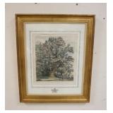 1226	FRAMED & MATTED ETCHING *THE CHIPSTEAD ELM*, J G STRUH, APPROXIMATELY 22 IN X 26 1/2 IN