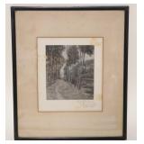 1047	SIGNED ENGRAVING OF TREE LINES IN A FORREST, APPROXIMATELY 12 IN X 15 IN OVERALL