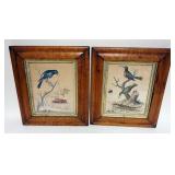 1057	PAIR OF BIRD AND INSECT COLORED LITHOGRAPHS IN BIRDSEYE MAPLE FRAMES, APPROXIMATELY 12 IN X 14 