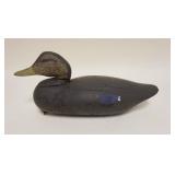 1067	ANTIQUE WOOD DUCK DECOY, APPROXIMATELY 16 IN X 6 IN X 7 IN H