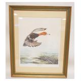 1142	RED HEAD DUCK PRINT SIGNED SALLIE ELINGTON MIDDLETON #1798, APPROXIMATELY 25 IN X 31 IN OVERALL