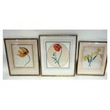 1171	LOT OF 3 FRAMED BOTANICAL WATERCOLORS, LARGEST APPROXIMATELY 13 IN X 16 IN OVERALL
