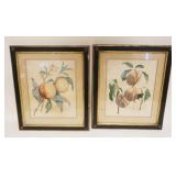 1311	2 FRAMED WATERCOLORS OF FRUIT, ARTIST SIGNED & DATED 1875, APPROXIMATELY 16 IN X 19 IN