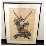 1160	ROGER TONY PETERSON SIGNED AND NUMBERED PRINT 318/950 OF BARN OWL, APPROXIMATELY 34 IN X 46 IN 