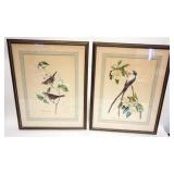 1139	PAIR OF FRAMED COLORED BIRD PRINTS, EACH APPROXIMATELY 21 IN X 27 IN OVERALL
