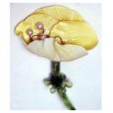 1158	DESIGNER FLORAL PIN BY FABRICE, APPROXIMATELY 4 IN, YELLOW WITH PEARLS BROOCH