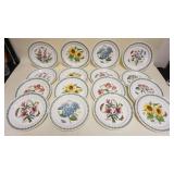 1003	PORTMEIRION BOTANIC GARDEN CHINA, 16-10 1/2 IN PLATES